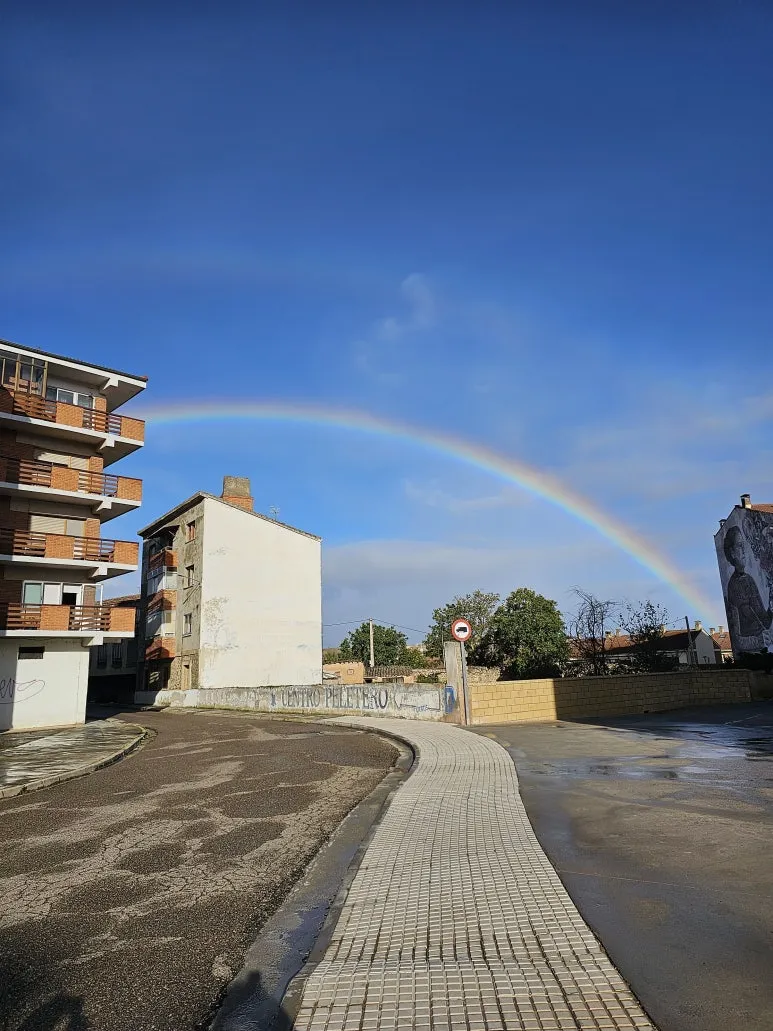 1697723110930.jpg?type=w773