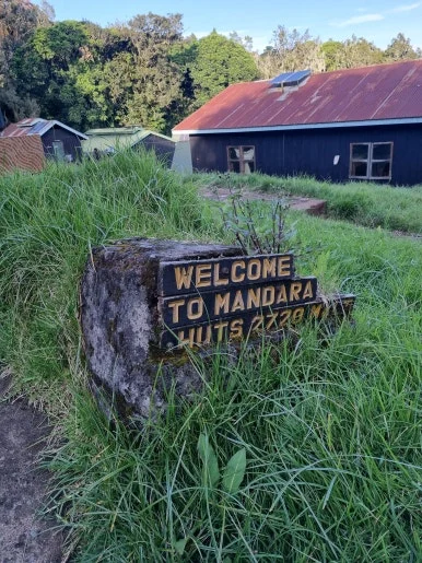 20231208_172659.jpg?type=w386