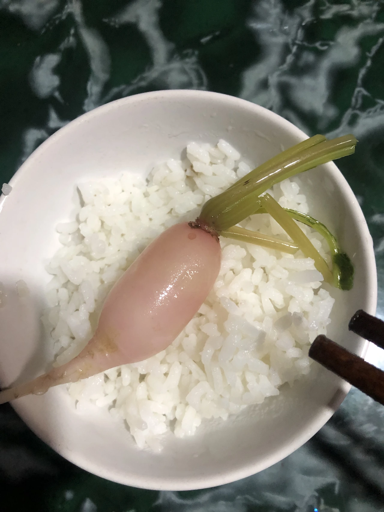 IMG_4646.jpg?type=w3840