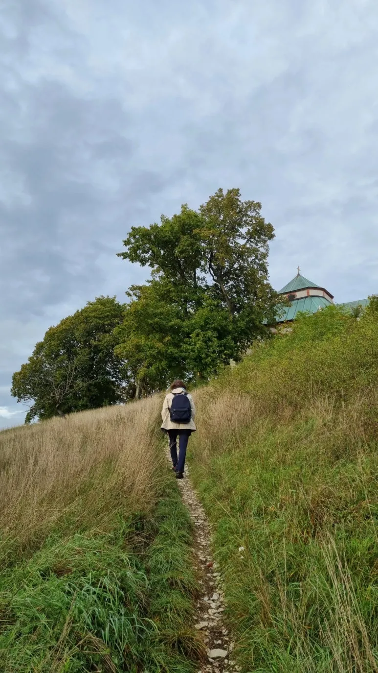 IMG_20230918_181420_413.jpg?type=w773