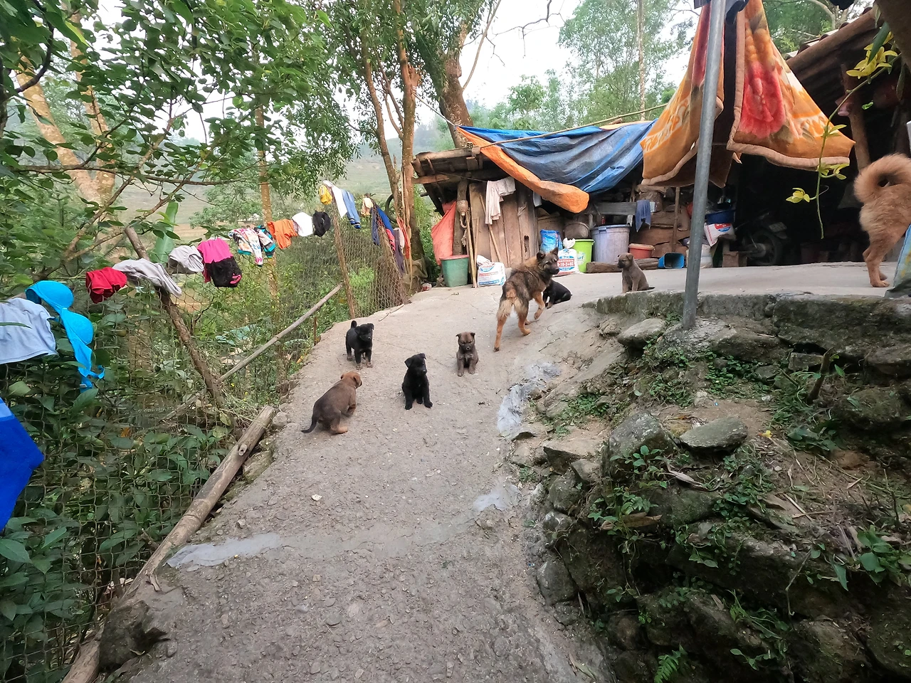 GOPR1764.JPG?type=w3840