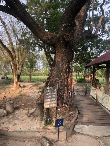 IMG_5234.jpg?type=w466