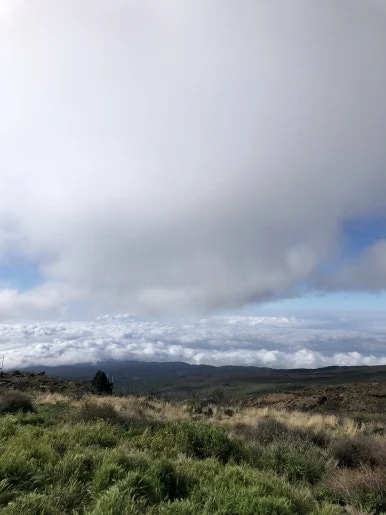 IMG_8676.jpg?type=w386