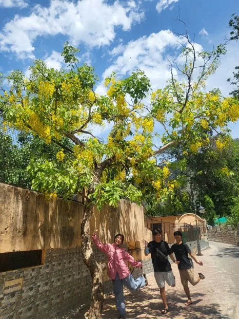 1685039441764.jpg?type=w466