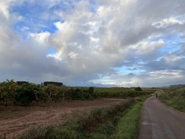 1697748112108.jpg?type=w773