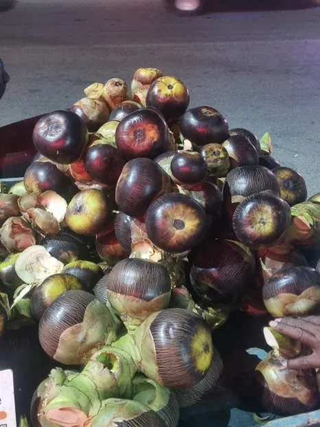 20230619_194119.jpg?type=w466