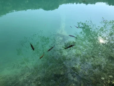 IMG_8562.jpg?type=w386