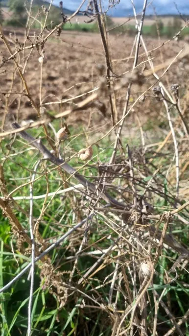 IMG_20231018_113559_381.jpg?type=w386