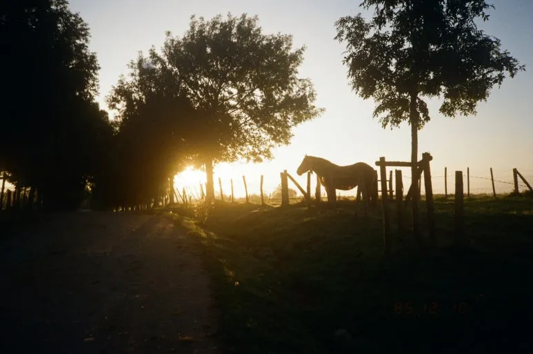 1703163213812.jpg?type=w773