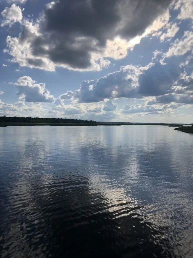 IMG_2241.jpg?type=w386