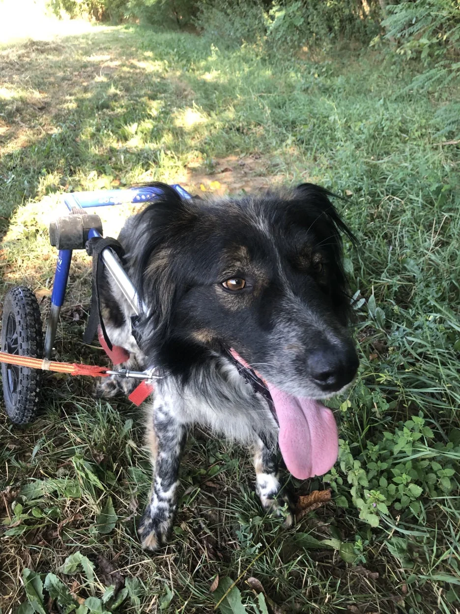 IMG_7044.jpg?type=w1