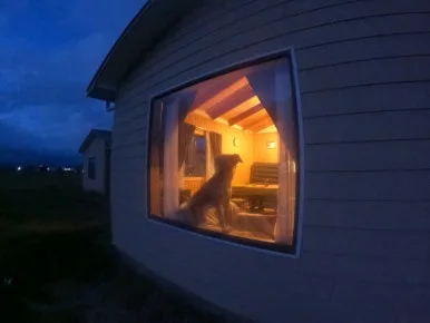 GOPR3923.JPG?type=w386