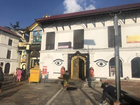 IMG_5484.jpg?type=w466