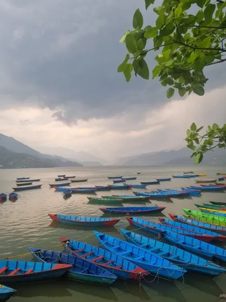 20230515_165047.jpg?type=w466