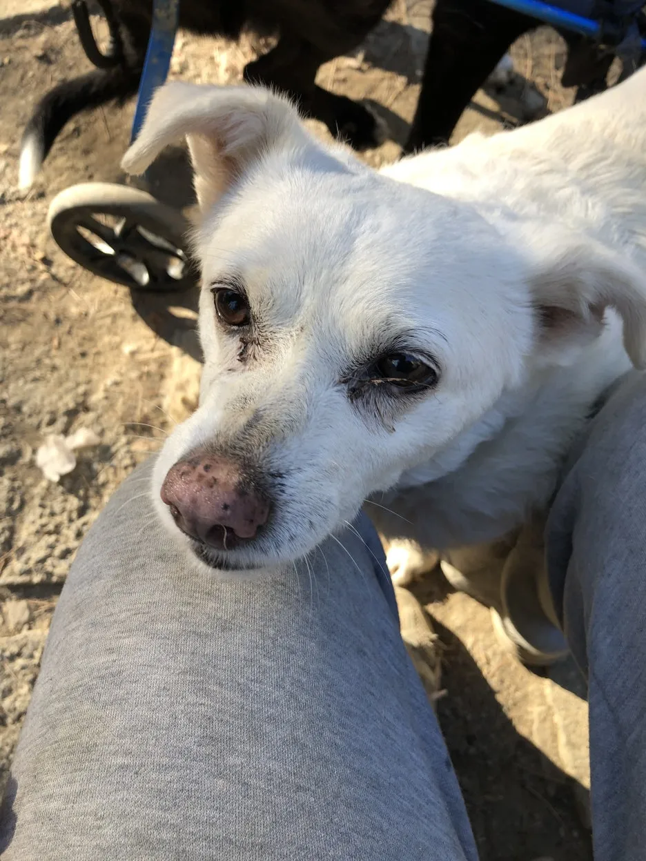 IMG_6766.jpg?type=w1