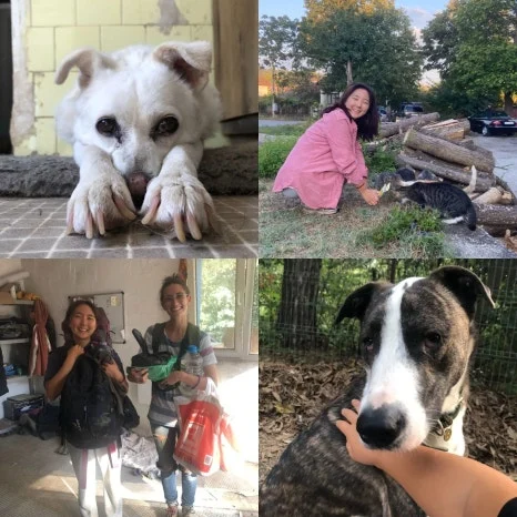 IMG_20231009_140241_427.jpg?type=w466