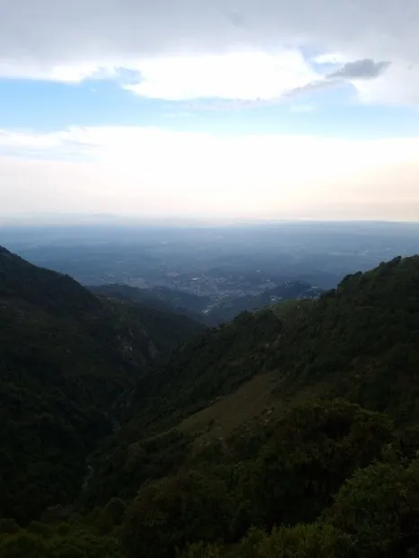 20230527_172113.jpg?type=w466