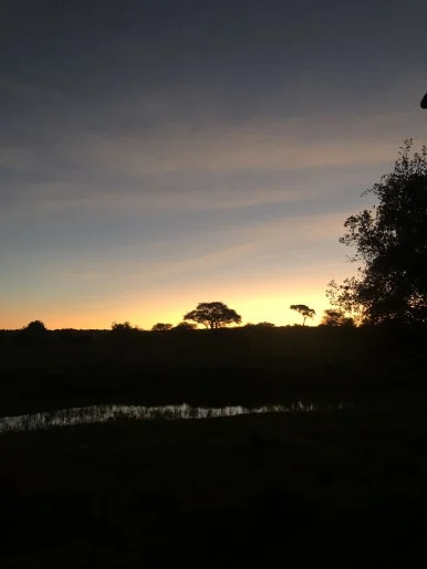 IMG_2439.jpg?type=w386