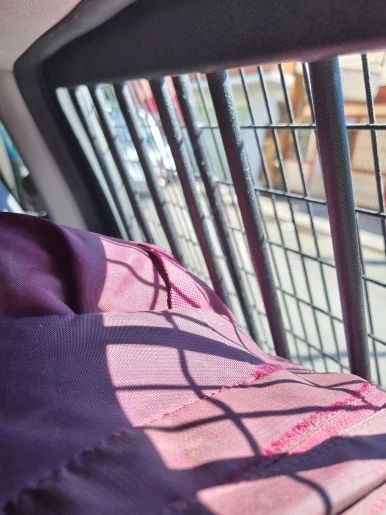 20240207_161340.jpg?type=w386