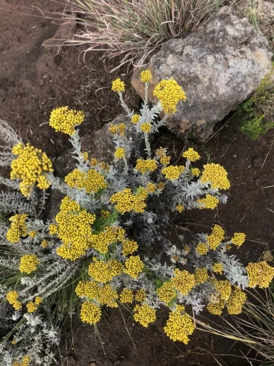 IMG_8482.jpg?type=w386