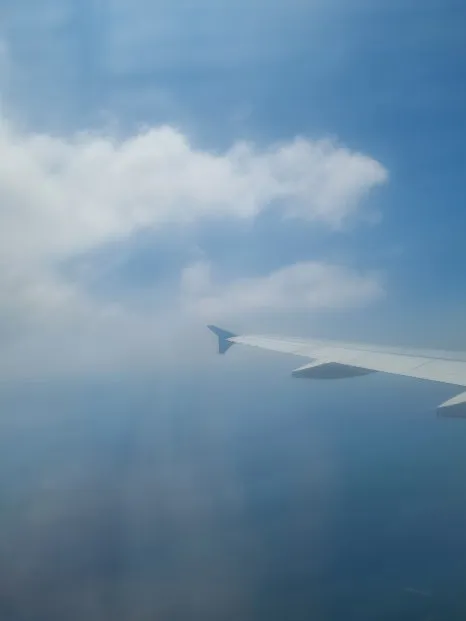 20230728_132228.jpg?type=w466