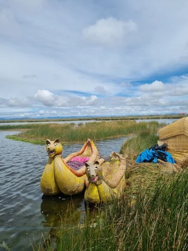 20240217_095329.jpg?type=w386