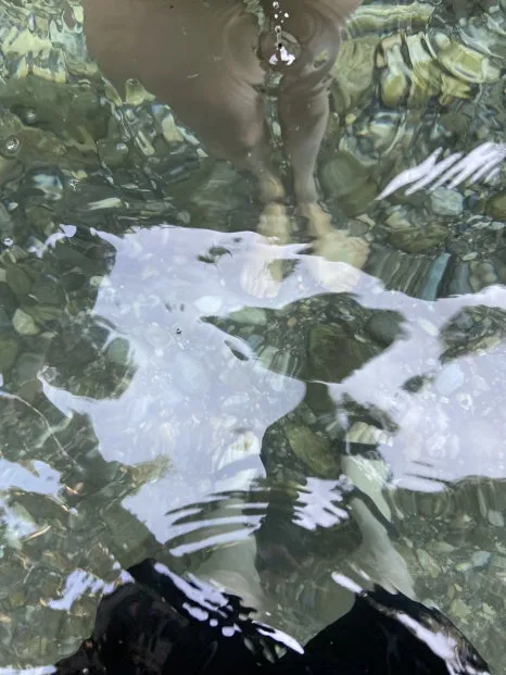 IMG_3463.JPG?type=w466