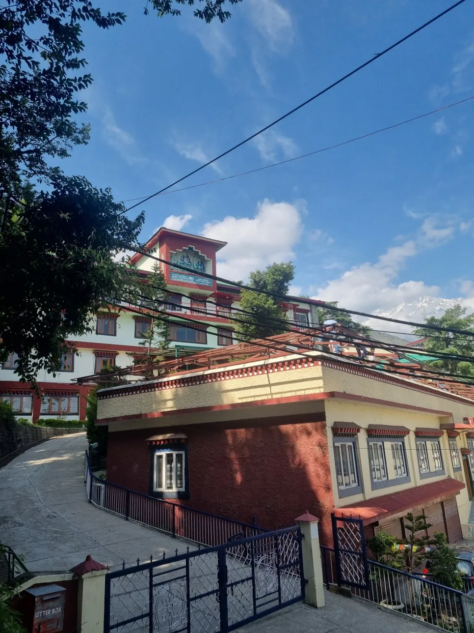 20230528_152613.jpg?type=w966