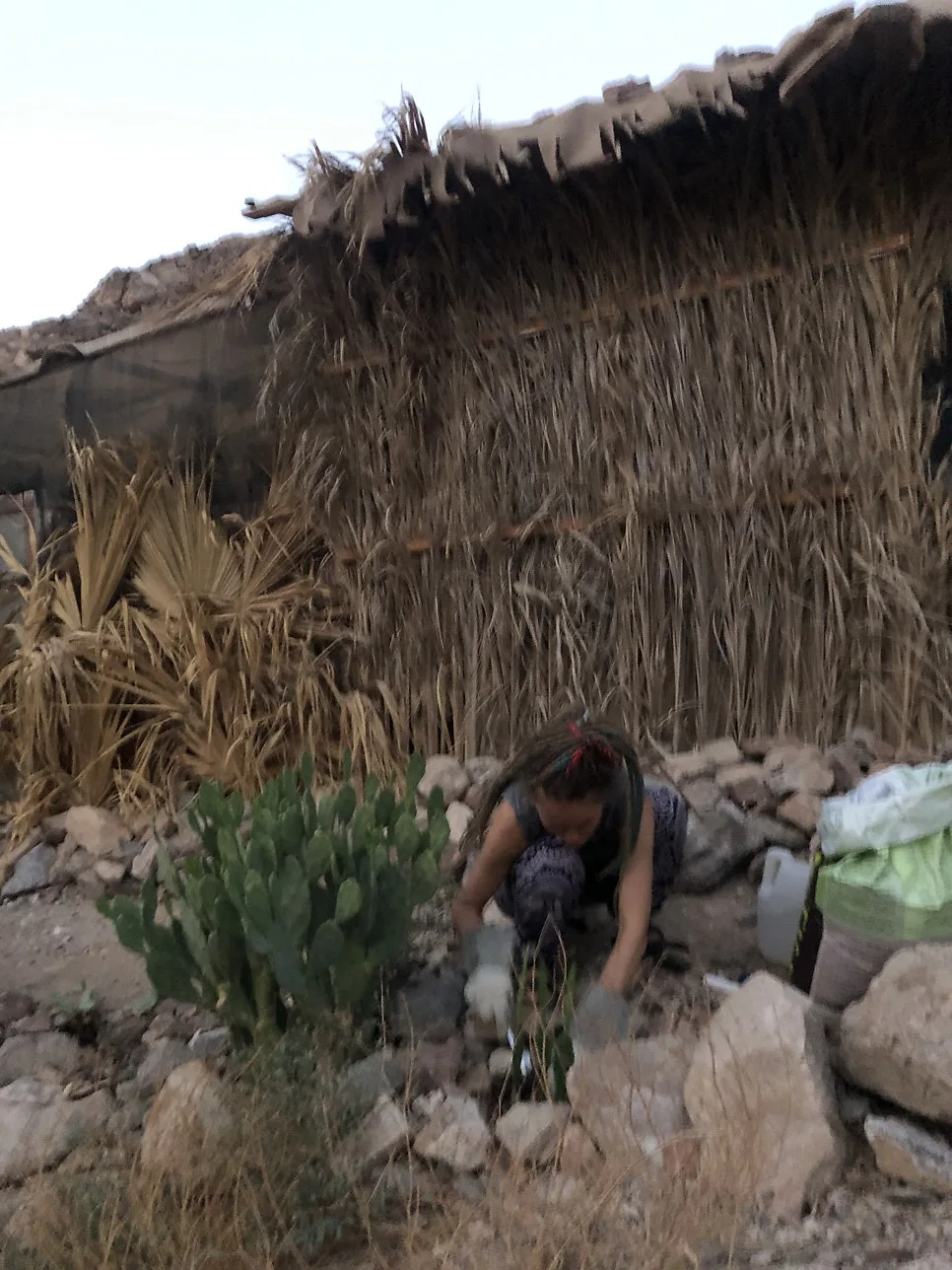 IMG_8362.jpg?type=w966