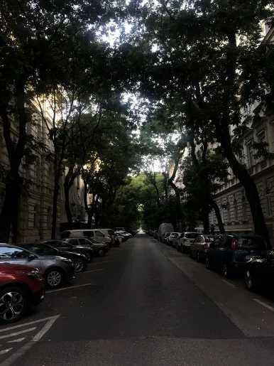 IMG_9108.jpg?type=w386