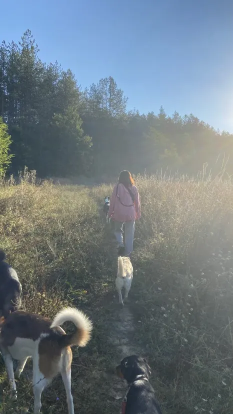 FullSizeRender(10).jpg?type=w466