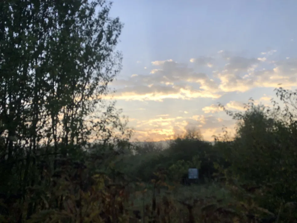 IMG_7291.jpg?type=w966