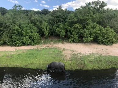 IMG_2105.jpg?type=w386