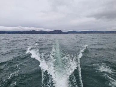 20240217_081223.jpg?type=w386