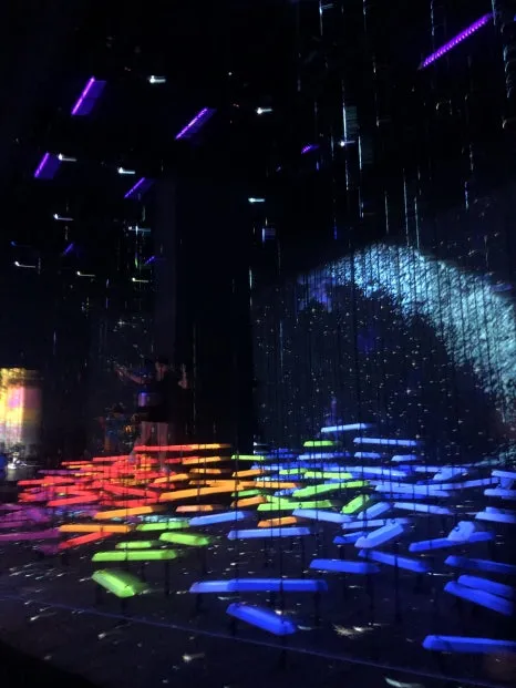 IMG_2738.jpg?type=w466