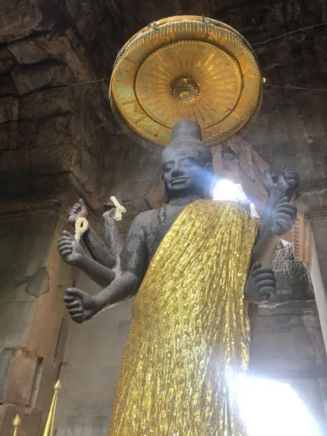 IMG_5283.jpg?type=w466