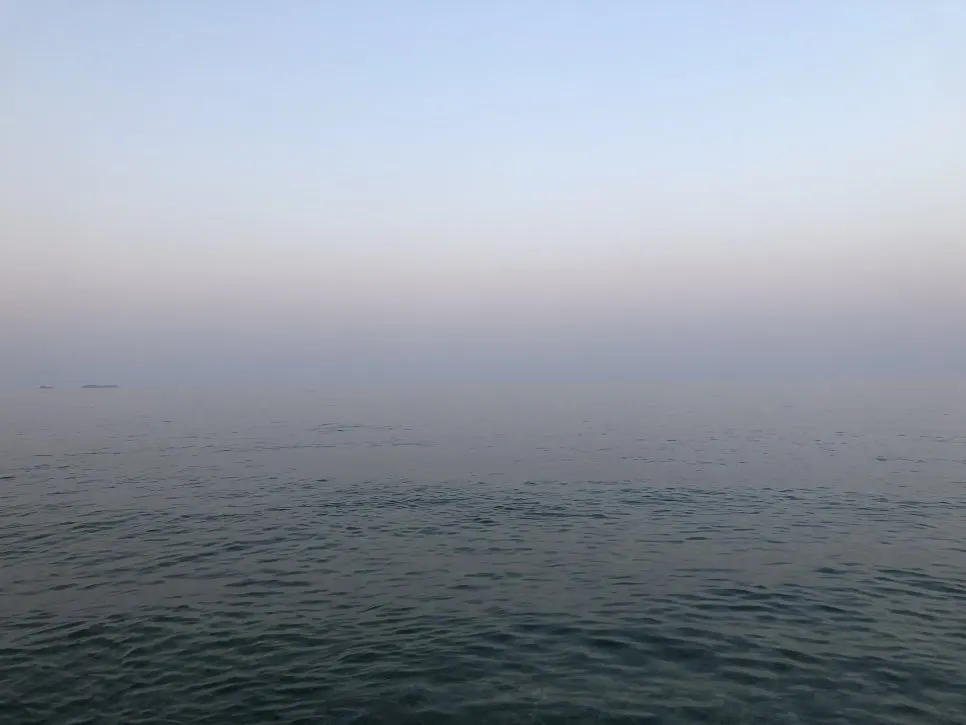 IMG_3057.jpg?type=w966