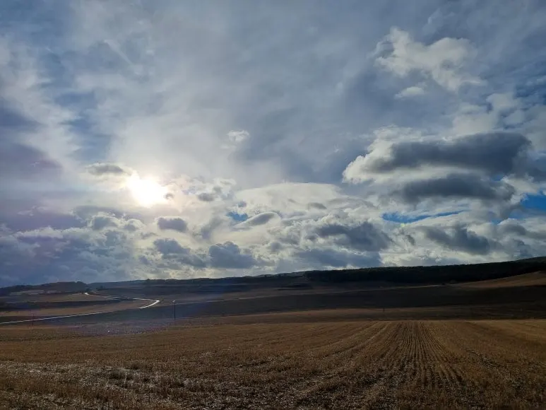 20231019_095751.jpg?type=w773