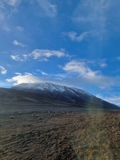 20231211_175222.jpg?type=w386