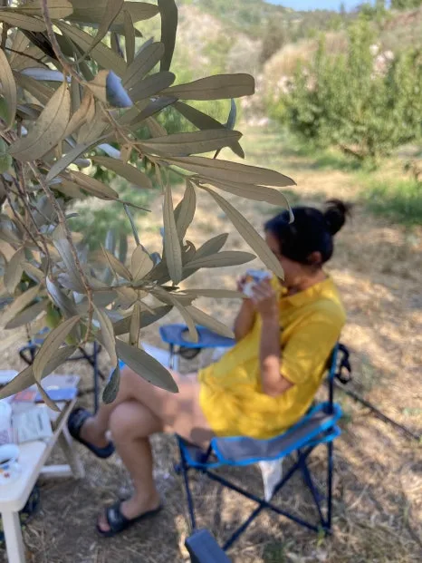 IMG_3619.JPG?type=w466