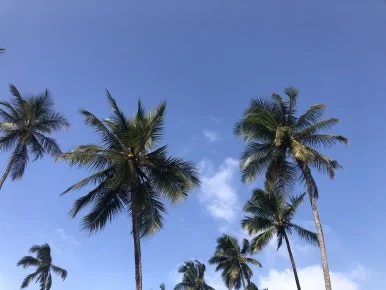 IMG_1135.jpg?type=w386