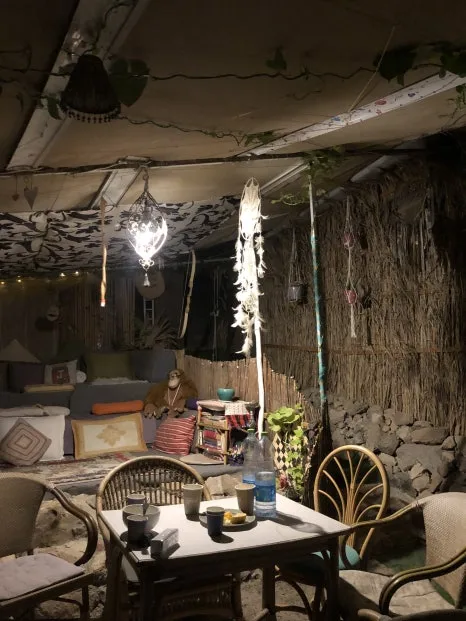 IMG_8071.jpg?type=w466