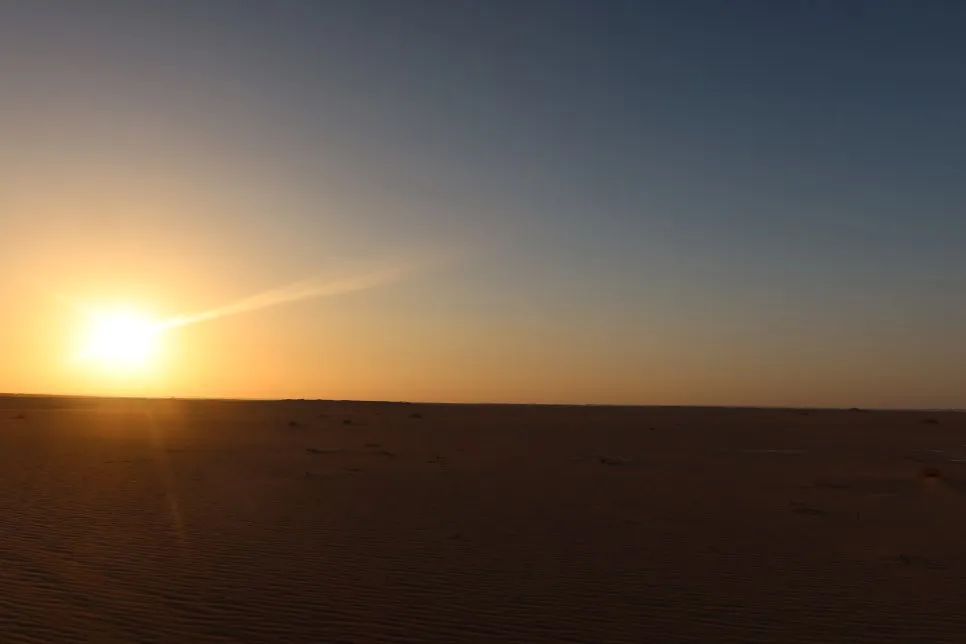 IMG_4359.JPG?type=w966