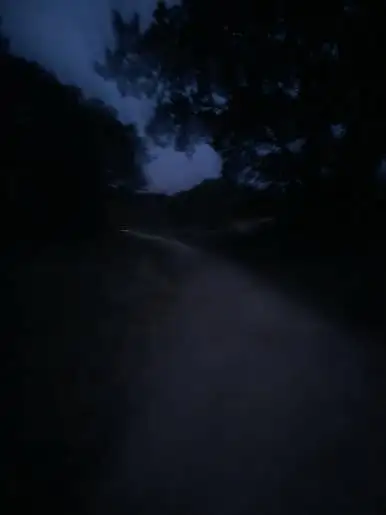 20231020_075320.jpg?type=w386