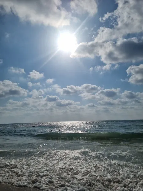 20230630_171411.jpg?type=w466