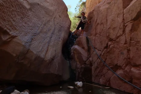 IMG_4209.JPG?type=w466