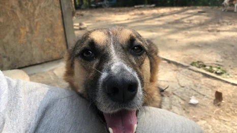 IMG_7252.JPG?type=w466