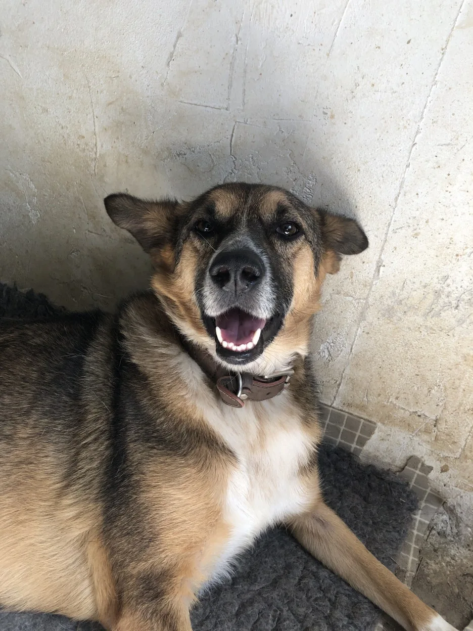 IMG_7089.jpg?type=w1