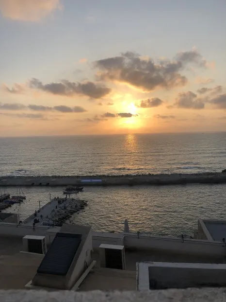 IMG_7242.jpg?type=w466