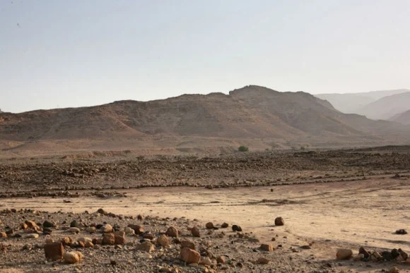 %EA%B1%B0%EC%B9%9C%EB%93%A4%ED%8C%90.jpg?type=w580